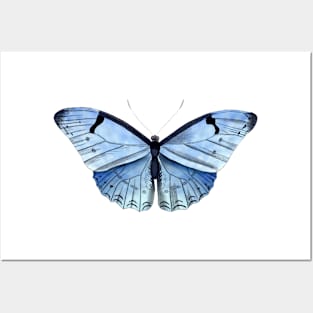 butterfly Posters and Art